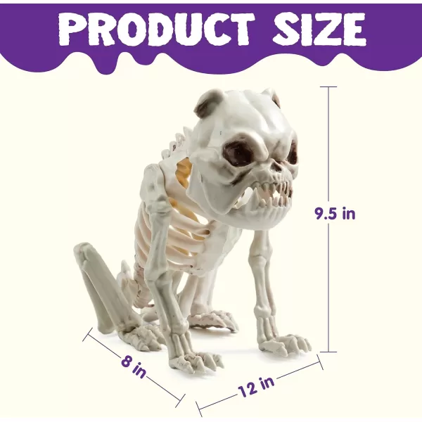JOYIN Halloween Plastic Dog Skeleton 8 Inches Puppy Skeleton Plastic Dog Bones with Joints for Prop Spooky Scene Party Favors Decoration