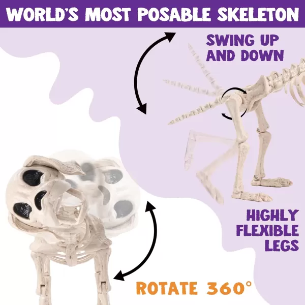 JOYIN Posable Halloween Dog Skeleton Full Body Posable Joints Skeleton Puppy for Halloween Decoration Graveyard Party Deco 98 X 47 X 126