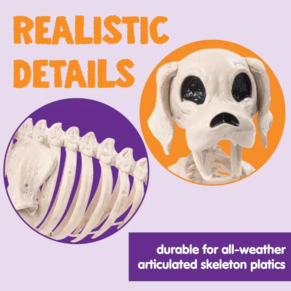 JOYIN Posable Halloween Dog Skeleton Full Body Posable Joints Skeleton Puppy for Halloween Decoration Graveyard Party Deco 98 X 47 X 126
