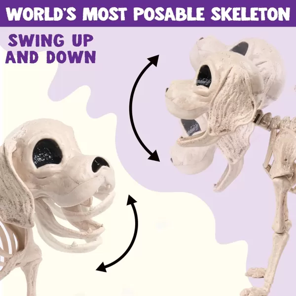 JOYIN Posable Halloween Dog Skeleton Full Body Posable Joints Skeleton Puppy for Halloween Decoration Graveyard Party Deco 98 X 47 X 126