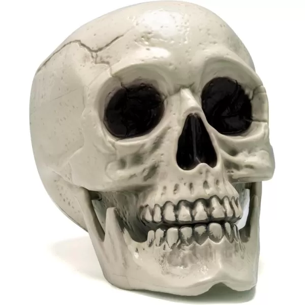 JOYIN Halloween Skeleton Decor Life Size Human Skull Model Indoor Outdoor Decorations for TrickorTreaters Realistic Plastic Human Head Bone Tabletop Home Decor 6 x 55 x 75 Inches