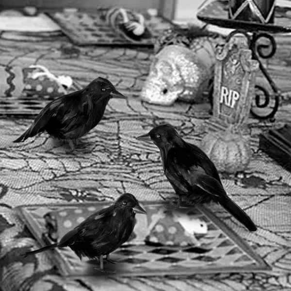 imageJOYIN 6 Pcs Crow Raven Halloween Decoration Indoor Outdoor Decor Black Fake Crows Ravens Bird Props Haunted House Graveyard Cemetery Yard Table Decor Halloween Party Favors Desk Trees Walls Windows