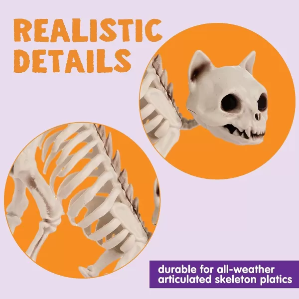 imageJOYIN 2 PCS Skeleton Cats Halloween Indoor Outdoor Decorations Set Animal Courtyard for Photo Props Decorations Trick or Treat Decor Spooky Scene Party Favors 7  79  3 inches
