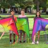 imageJOYIN Large Delta Kite Red Green and Purple Easy to Fly Huge for Kids and Adults with 2625ft String Large Delta Beach Kite for Outdoor Games and ActivitiesGradient by Color
