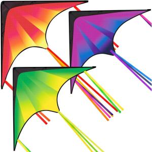 imageJOYIN Large Delta Kite Red Green and Purple Easy to Fly Huge for Kids and Adults with 2625ft String Large Delta Beach Kite for Outdoor Games and ActivitiesGradient by Line