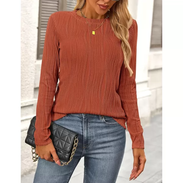 PRETTYGARDEN Womens Basic Plain Tee Shirts Fall Long Sleeve Crewneck Textured Dressy Casual Blouse TopsBrick Red