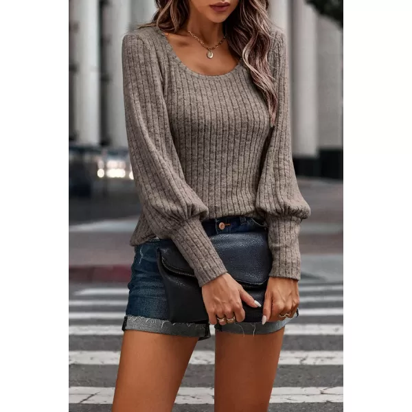 imagePRETTYGARDEN Womens Pullover Sweaters Long Lantern Sleeve Casual Crew Neck Ribbed Knit Jumper Blouse TopsBrown
