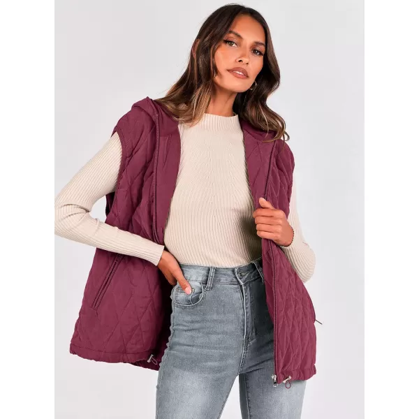 imagePRETTYGARDEN Womens 2024 Fall Vest Casual Sleeveless Hooded Zip Up Jacket Trendy Winter Coat OuterwearWine Red