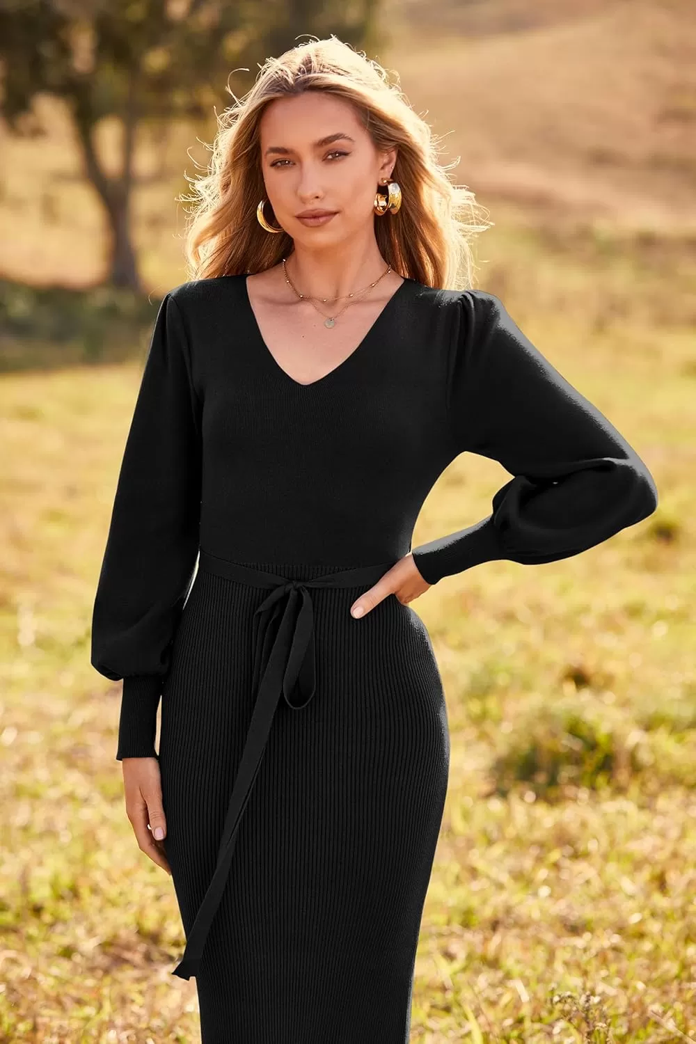imagePRETTYGARDEN Womens 2024 Fall Knit Pullover Sweater Elegant Long Lantern Sleeve V Neck Maxi DressBlack