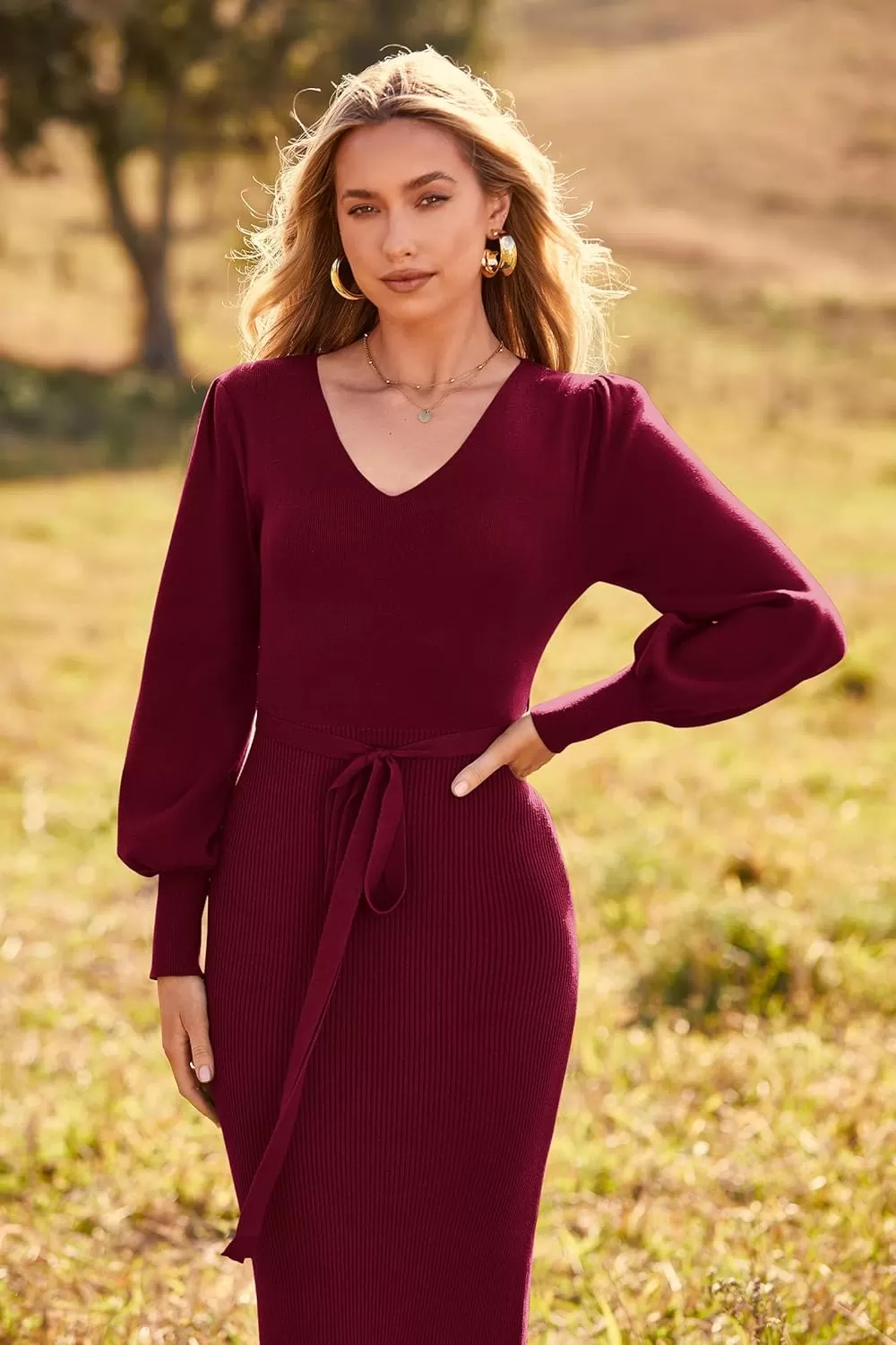 imagePRETTYGARDEN Womens 2024 Fall Knit Pullover Sweater Elegant Long Lantern Sleeve V Neck Maxi DressWine Red