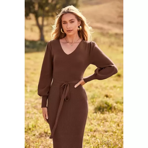 imagePRETTYGARDEN Womens 2024 Fall Knit Pullover Sweater Elegant Long Lantern Sleeve V Neck Maxi DressCoffee