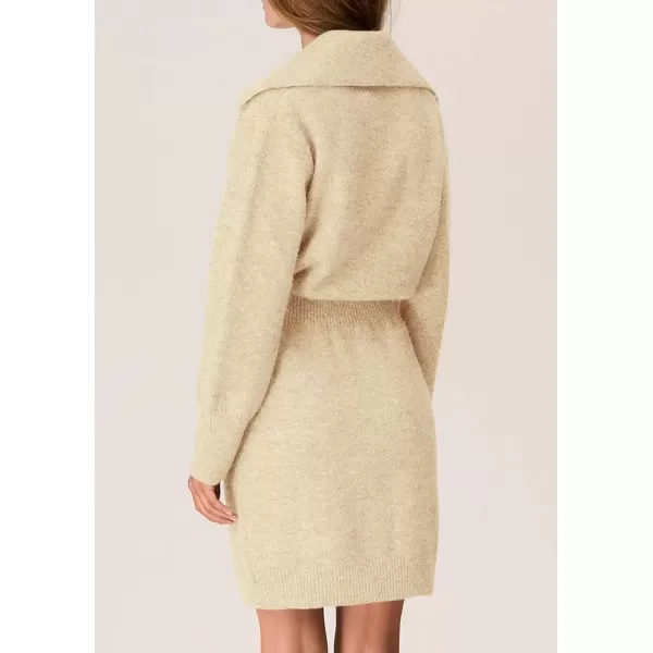 imagePRETTYGARDEN Womens Fall Sweater Dress Long Sleeve V Neck Button Down Knit Pullover Short DressesBeige