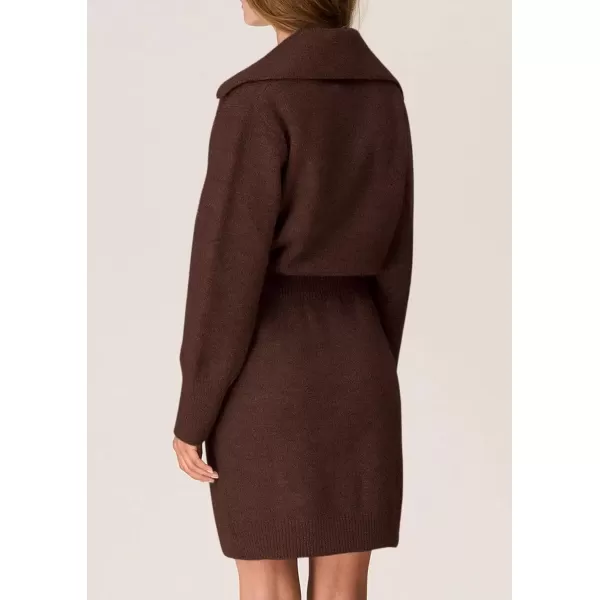 imagePRETTYGARDEN Womens Fall Sweater Dress Long Sleeve V Neck Button Down Knit Pullover Short DressesCoffee