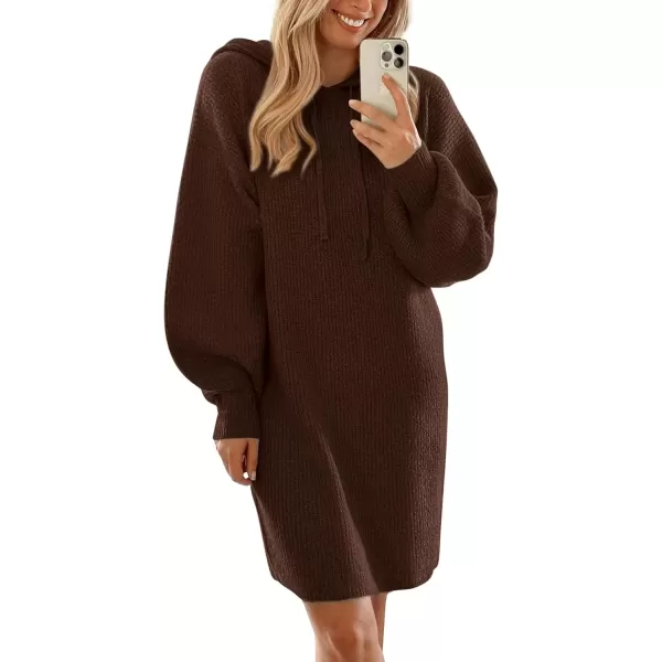 imagePRETTYGARDEN Womens Knit Pullover Sweaters 2024 Fall Fashion Clothes Long Sleeve Winter Hoodie Sweater DressBrown