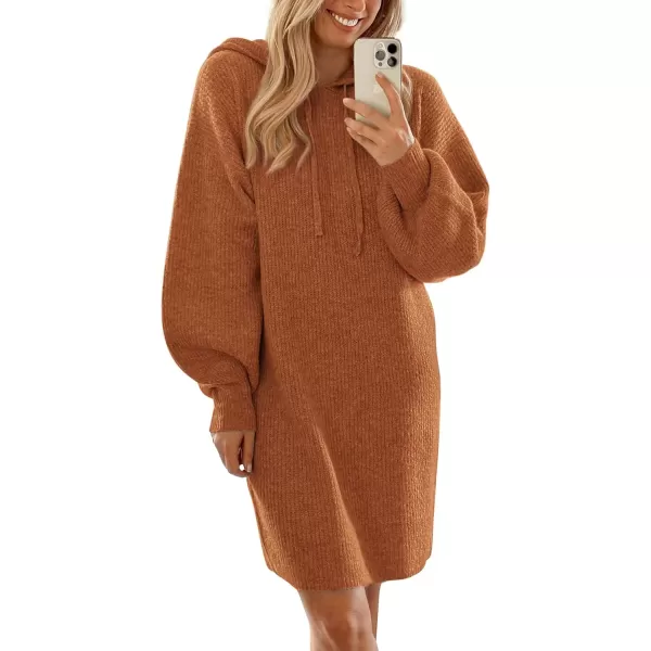 imagePRETTYGARDEN Womens Knit Pullover Sweaters 2024 Fall Fashion Clothes Long Sleeve Winter Hoodie Sweater DressCaramel