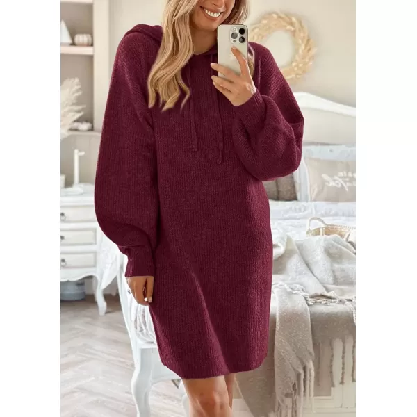 imagePRETTYGARDEN Womens Knit Pullover Sweaters 2024 Fall Fashion Clothes Long Sleeve Winter Hoodie Sweater DressWine Red