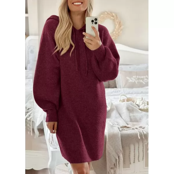 imagePRETTYGARDEN Womens Knit Pullover Sweaters 2024 Fall Fashion Clothes Long Sleeve Winter Hoodie Sweater DressWine Red