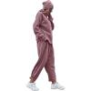 imagePRETTYGARDEN Womens 2024 Fall Two Piece Outfits Long Sleeve Tracksuit Set Turtleneck Pullover Tops Casual Pants SweatsuitsPurple Red