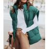 imagePRETTYGARDEN Womens Puffer Vest Fall Casual Stand Collar Lightweight Sleeveless Zip Up Padded Jackets OuterwearDark Green