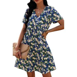 imagePRETTYGARDEN Summer Dress for Women 2024 Short Sleeve V Neck Ruffle Floral Swing ALine Short DressesBlue White
