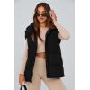 imagePRETTYGARDEN Womens Puffer Jacket Vests Fall Casual Sleeveless Stand Collar Zip Up Coats Warm Winter OuterwearBlack