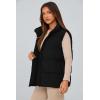imagePRETTYGARDEN Womens Puffer Jacket Vests Fall Casual Sleeveless Stand Collar Zip Up Coats Warm Winter OuterwearBlack