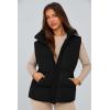 imagePRETTYGARDEN Womens Puffer Jacket Vests Fall Casual Sleeveless Stand Collar Zip Up Coats Warm Winter OuterwearBlack