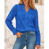 imagePRETTYGARDEN Womens Eyelet Tops Fall Outfits 2024 Dressy Casual Lace Blouses Long Sleeve Button V Neck ShirtsBlue