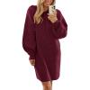 imagePRETTYGARDEN Womens Sweater Dress Fall Winter Casual Long Sleeve Pullover Chunky Knit Loose Oversized Hoodie Tunic SweatersWine Red