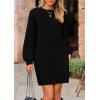 imagePRETTYGARDEN Womens 2024 Winter Pullover Sweaters Long Lantern Sleeve Crewneck Chunky Knit Slouchy Oversized Sweater DressBlack