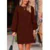 imagePRETTYGARDEN Womens 2024 Winter Pullover Sweaters Long Lantern Sleeve Crewneck Chunky Knit Slouchy Oversized Sweater DressCoffee
