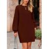 imagePRETTYGARDEN Womens 2024 Winter Pullover Sweaters Long Lantern Sleeve Crewneck Chunky Knit Slouchy Oversized Sweater DressCoffee