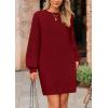 imagePRETTYGARDEN Womens 2024 Winter Pullover Sweaters Long Lantern Sleeve Crewneck Chunky Knit Slouchy Oversized Sweater DressWine Red