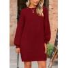 imagePRETTYGARDEN Womens 2024 Winter Pullover Sweaters Long Lantern Sleeve Crewneck Chunky Knit Slouchy Oversized Sweater DressWine Red