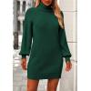 imagePRETTYGARDEN Women Sweater Dress 2024 Winter Long Puff Sleeve Turtleneck Ribbed Knit Oversized Pullover Winter Short DressDark Green