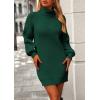 imagePRETTYGARDEN Women Sweater Dress 2024 Winter Long Puff Sleeve Turtleneck Ribbed Knit Oversized Pullover Winter Short DressDark Green