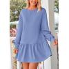 imagePRETTYGARDEN Womens Fall Patchwork Sweatshirt Dress Casual Long Sleeve Crewneck Pullover Cute Babydoll Mini DressesSky Blue