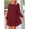 imagePRETTYGARDEN Womens Fall Patchwork Sweatshirt Dress Casual Long Sleeve Crewneck Pullover Cute Babydoll Mini DressesWine Red