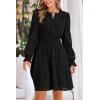 imagePRETTYGARDEN Womens 2024 Long Sleeve Mini Dress Eyelet V Neck A Line Casual Elegant Holiday Wedding Guest Party DressesBlack