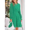 imagePRETTYGARDEN Womens 2024 Long Sleeve Mini Dress Eyelet V Neck A Line Casual Elegant Holiday Wedding Guest Party DressesGreen