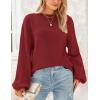 imagePRETTYGARDEN Womens 2024 Winter Chunky Knit Sweater Casual Long Lantern Sleeve Crewneck Pullover Jumper TopsWine Red