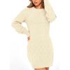 imagePRETTYGARDEN Womens Winter Long Sleeve Short Sweater Dress Chunky Ribbed Knit Tunic Pullover Oversized Fall SweatersApricot