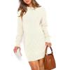 imagePRETTYGARDEN Womens Winter Long Sleeve Short Sweater Dress Chunky Ribbed Knit Tunic Pullover Oversized Fall SweatersWhite