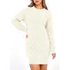 imagePRETTYGARDEN Womens Winter Long Sleeve Short Sweater Dress Chunky Ribbed Knit Tunic Pullover Oversized Fall SweatersWhite