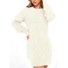 imagePRETTYGARDEN Womens Winter Long Sleeve Short Sweater Dress Chunky Ribbed Knit Tunic Pullover Oversized Fall SweatersWhite