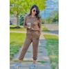 imagePRETTYGARDEN Womens Spring Fall 2 Piece Lounge Outfit Long Sleeve Crewneck Pullover Tops High Waisted Pants Set TracksuitDark Khaki