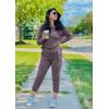 imagePRETTYGARDEN Womens Spring Fall 2 Piece Lounge Outfit Long Sleeve Crewneck Pullover Tops High Waisted Pants Set TracksuitGrey