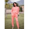 imagePRETTYGARDEN Womens Spring Fall 2 Piece Lounge Outfit Long Sleeve Crewneck Pullover Tops High Waisted Pants Set TracksuitPink