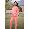 imagePRETTYGARDEN Womens Spring Fall 2 Piece Lounge Outfit Long Sleeve Crewneck Pullover Tops High Waisted Pants Set TracksuitPink