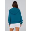 imagePRETTYGARDEN Hoodies for Women Sweatshirt Zip Up Hoodie Fall Fashion 2025 Trendy Long Sleeve Jackets Winter Clothing OutfitsLake Blue